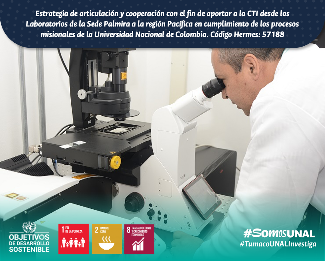 Convocatoria para la Conformación o el Fortalecimiento de estrategias de cooperación entre laboratorios de la Universidad Nacional de Colombia 2022-2024