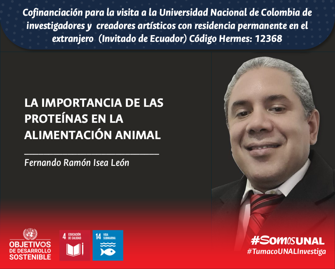 Convocatoria Nacional para el Apoyo a la Movilidad Internacional de la Universidad Nacional de Colombia 2022-2024