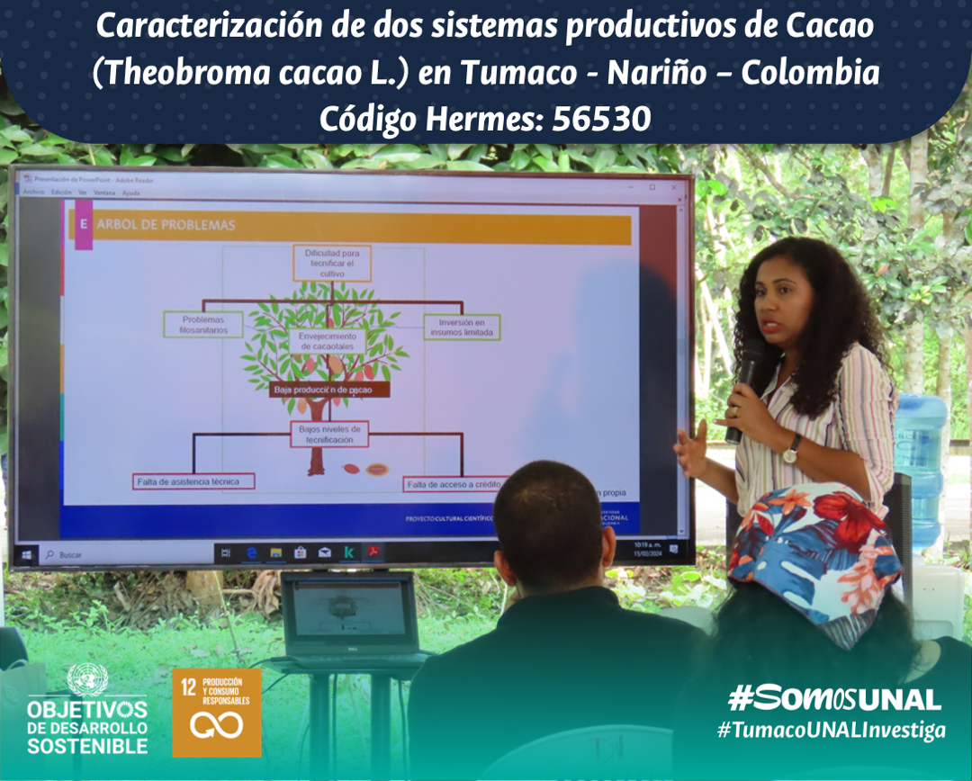 Convocatoria Interna de Investigación Plan Retorno en la Sede de Presencia Nacional Tumaco