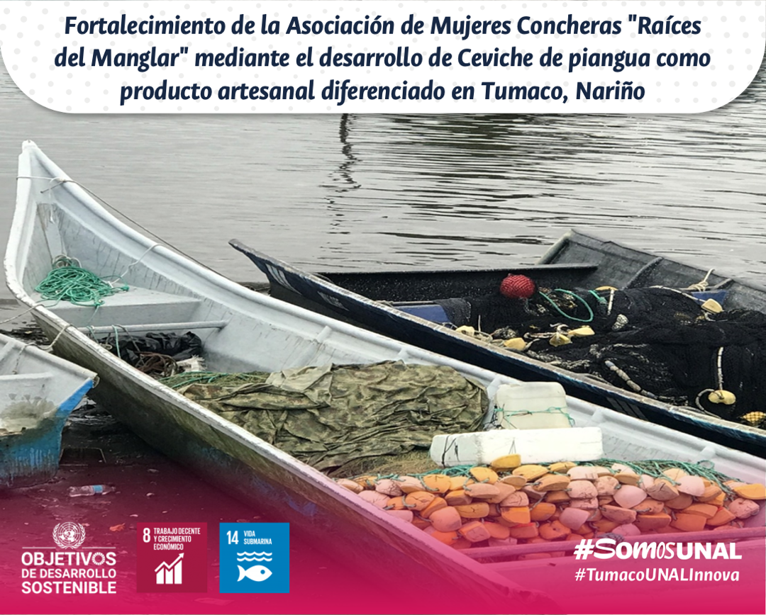 Fortalecimiento de la Asociación de Mujeres Concheras "Raíces del Manglar" mediante el desarrollo de Ceviche de piangua como producto artesanal diferenciado en Tumaco, Nariño