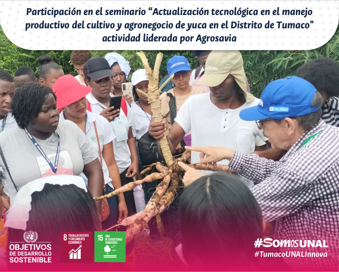 Participación en el seminario “Actualización tecnológica en el manejo productivo del cultivo y agronegocio de yuca en el Distrito de Tumaco" actividad liderada por Agrosavia