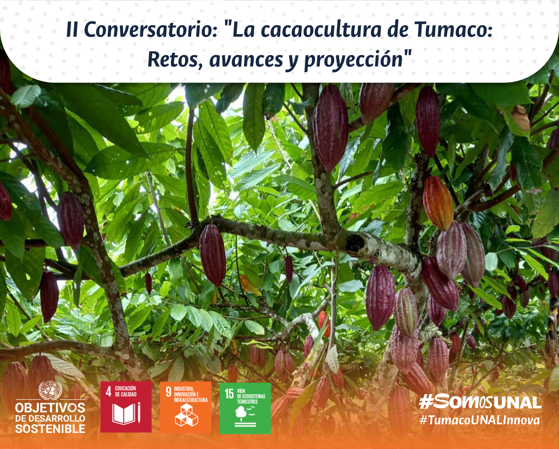 II Conversatorio: "La cacaocultura de Tumaco: Retos, avances y proyección"