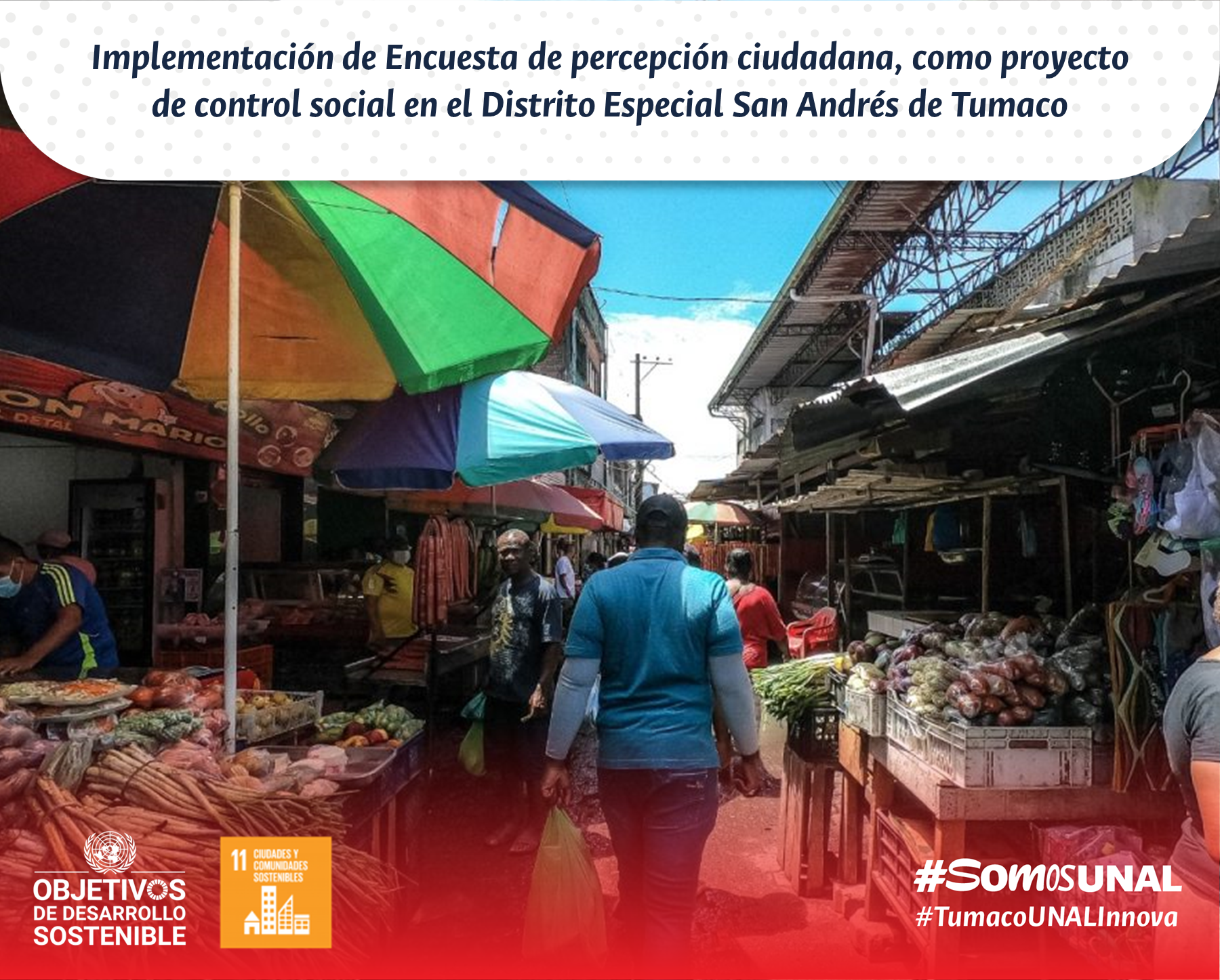 Implementación de Encuesta de percepción ciudadana, como proyecto de control social en el Distrito Especial San Andrés de Tumaco